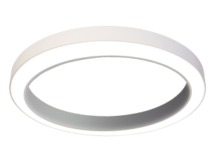 Combination Ring Pendant Lamp LED Linear Light